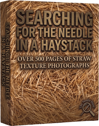 Searching for the Needle in a Haystack